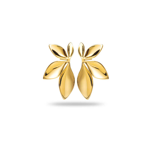 Boucles Gold Rush