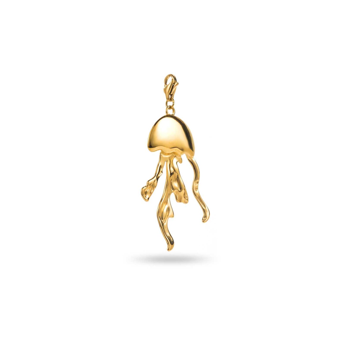 Charm