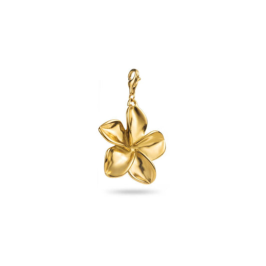 Charm
